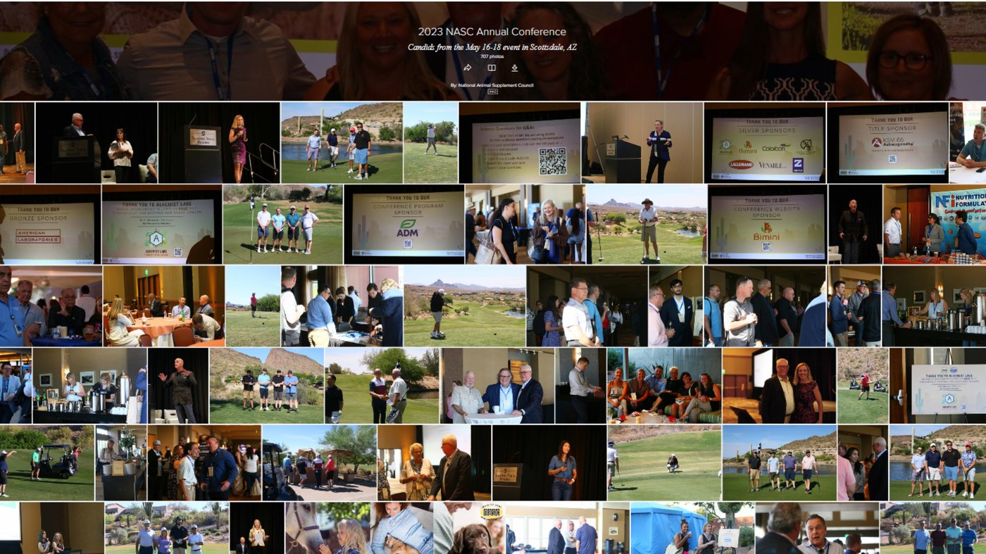 Flickr-Photo-Collage